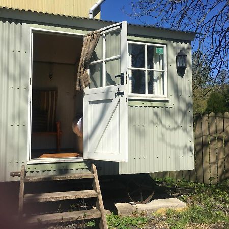Posh Huts Farmstay Falstone Bagian luar foto