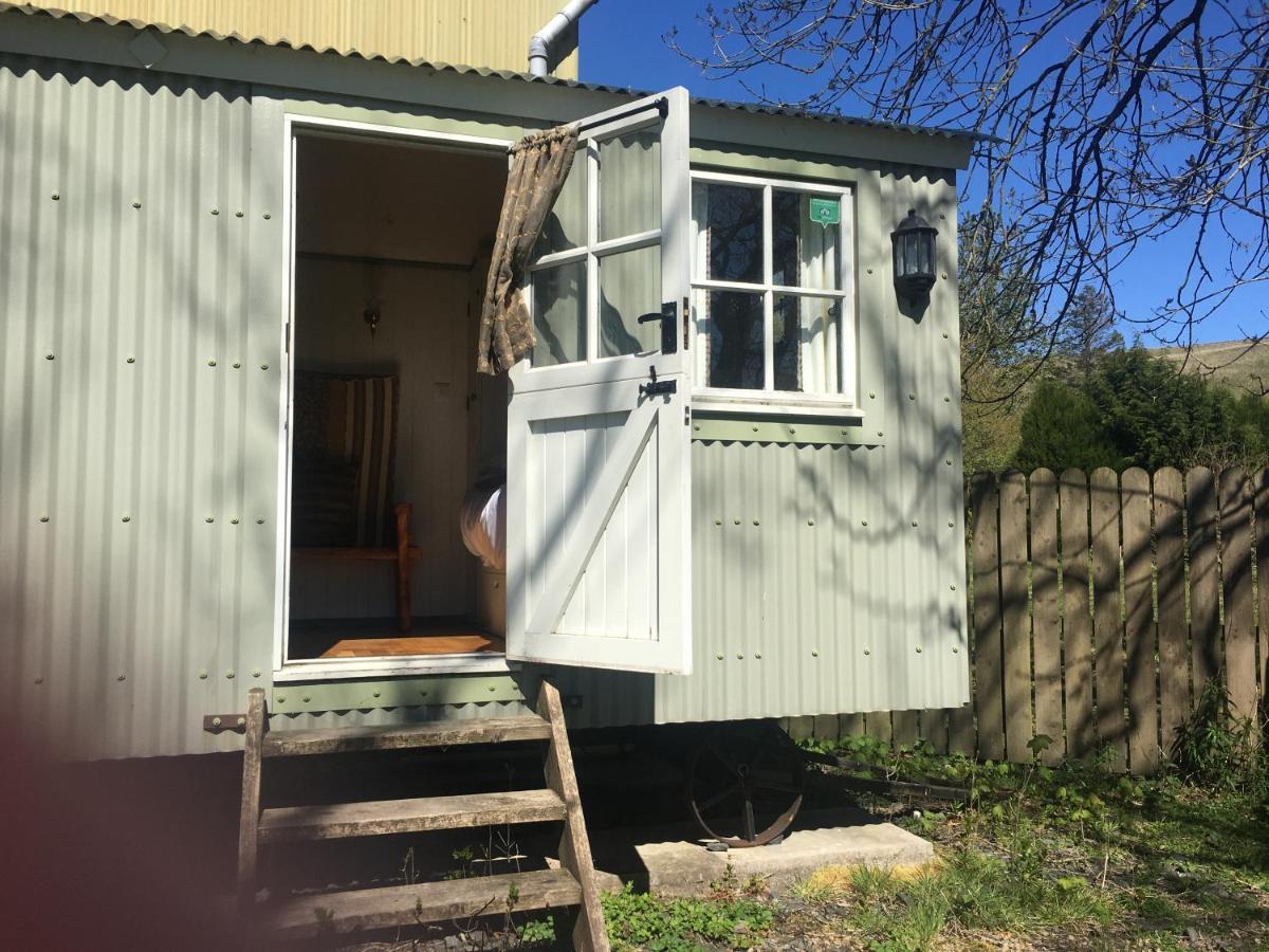 Posh Huts Farmstay Falstone Bagian luar foto