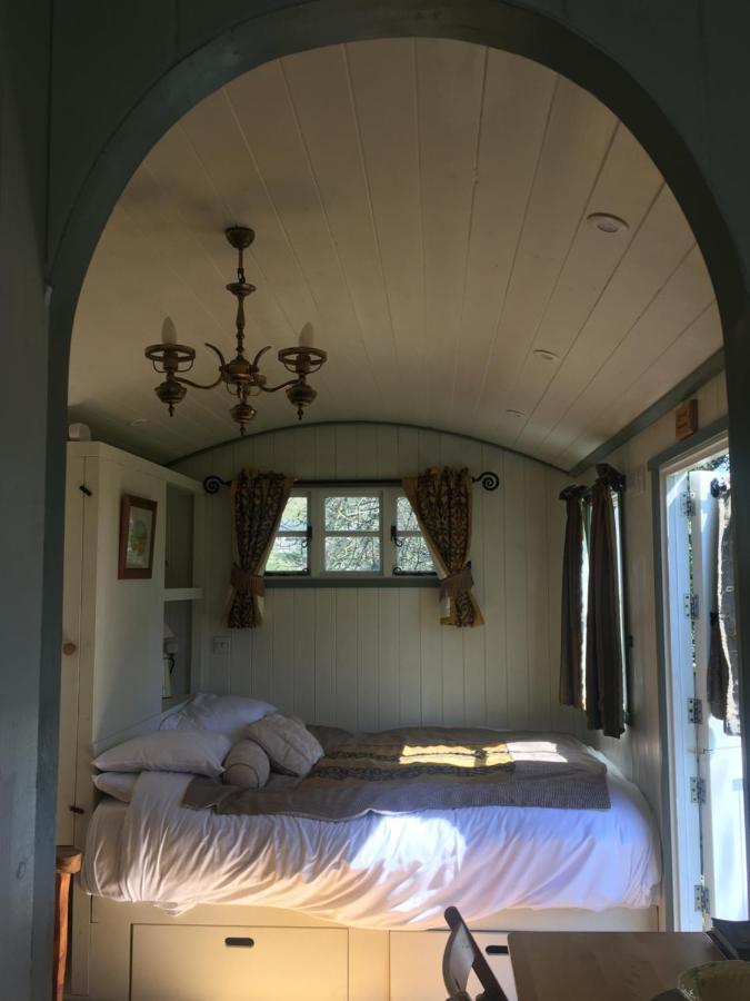 Posh Huts Farmstay Falstone Bagian luar foto