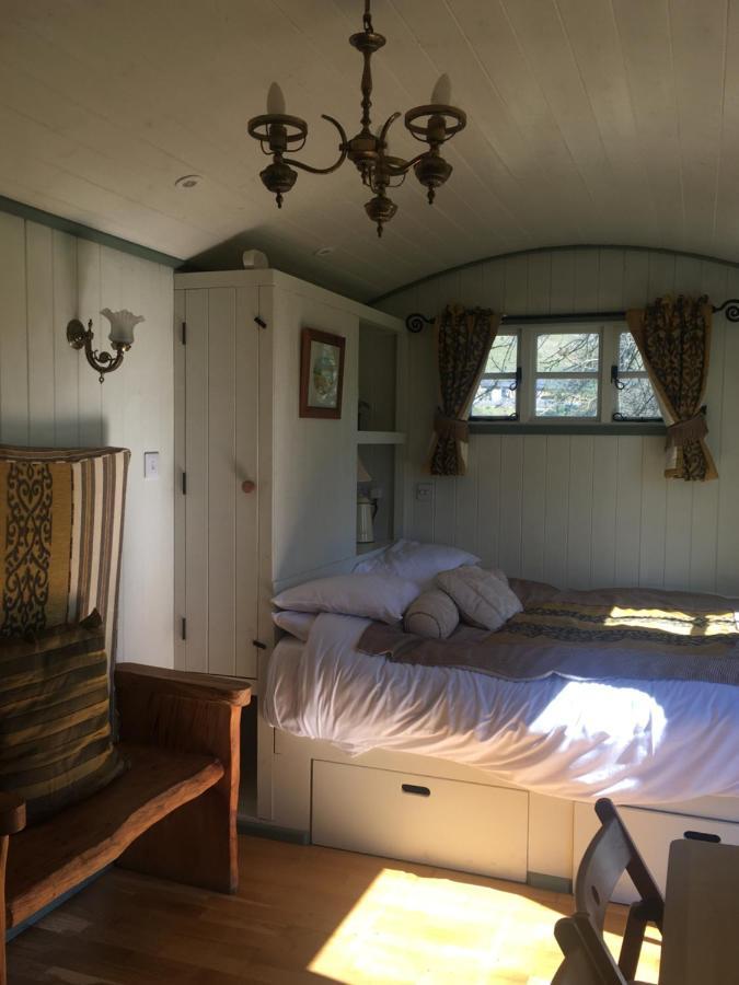 Posh Huts Farmstay Falstone Bagian luar foto