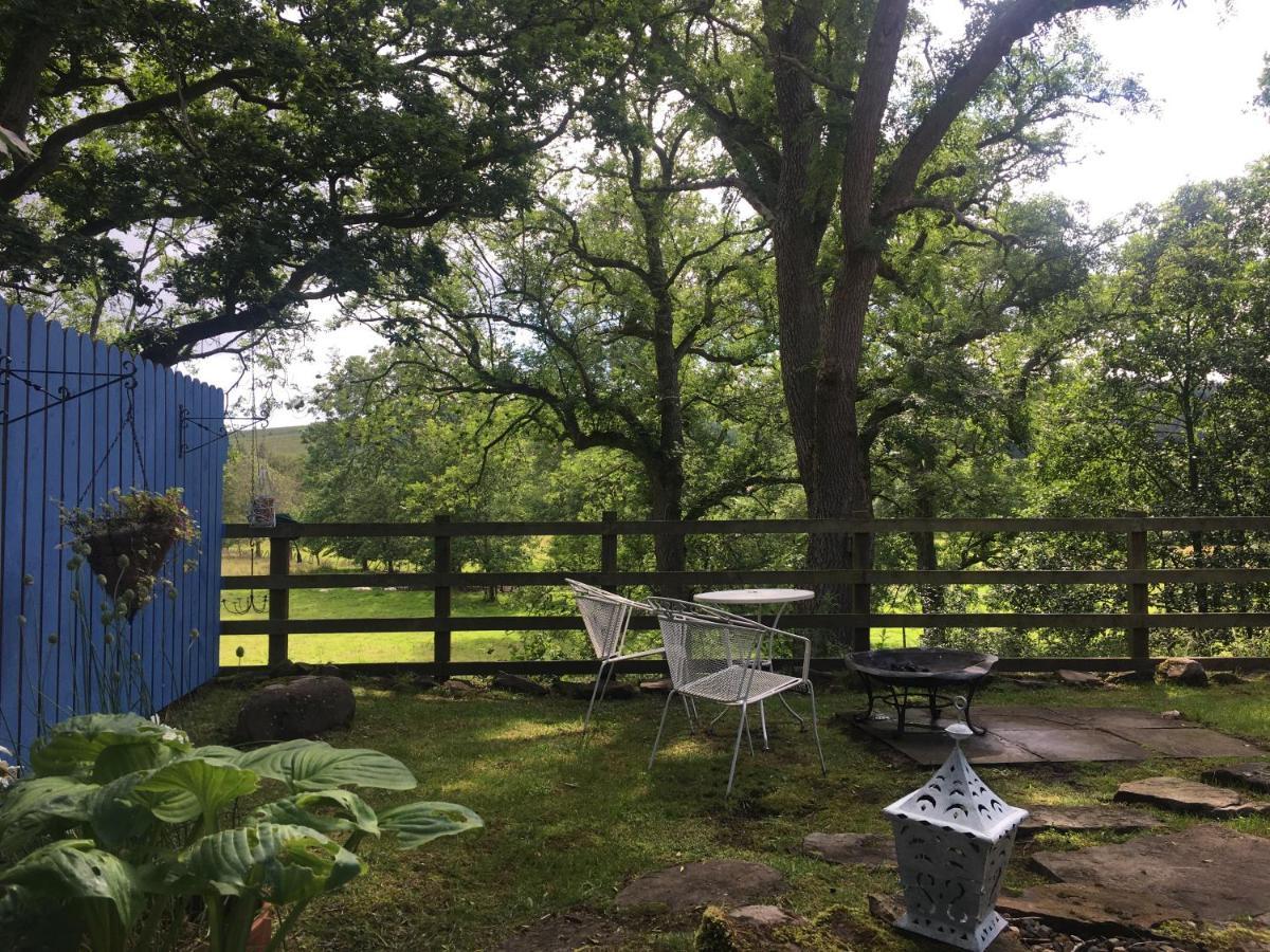 Posh Huts Farmstay Falstone Bagian luar foto