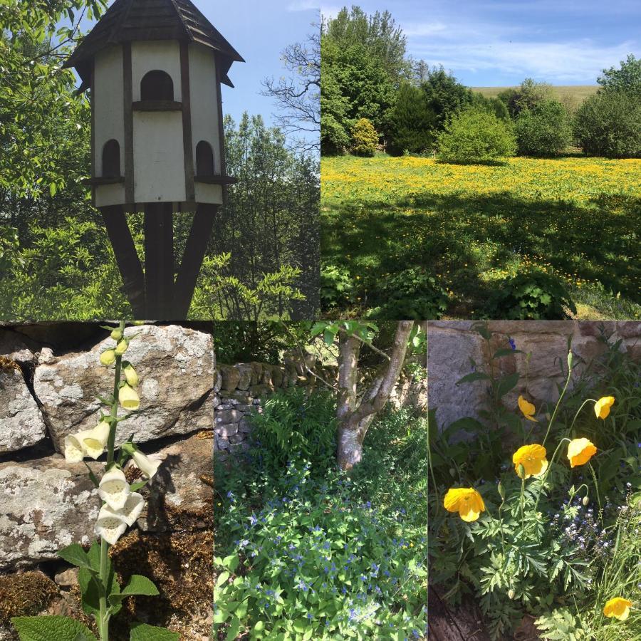 Posh Huts Farmstay Falstone Bagian luar foto
